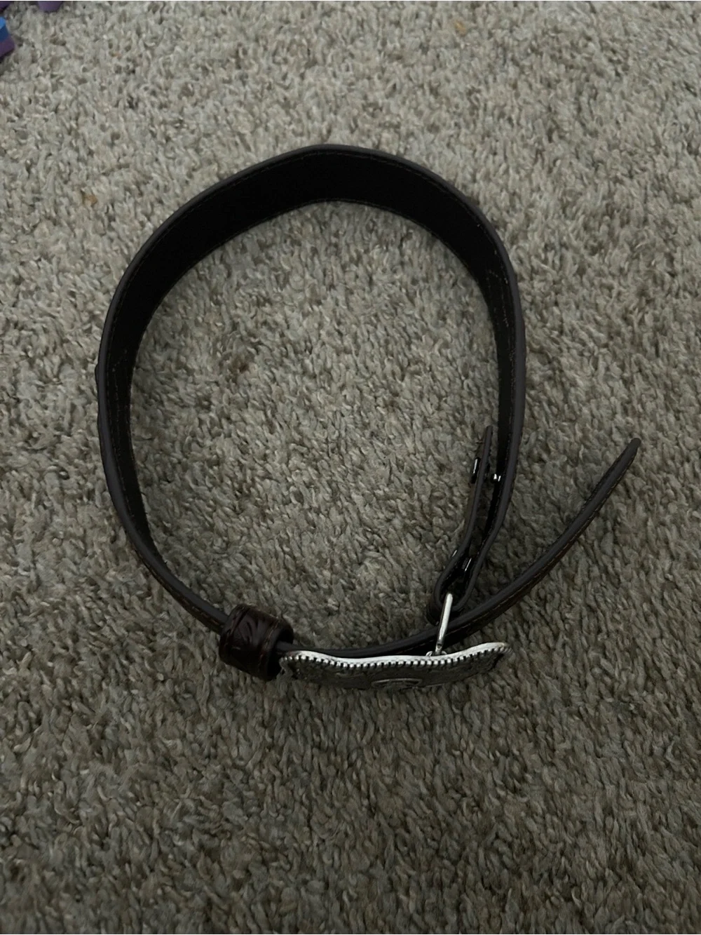 Kids Ariat belt